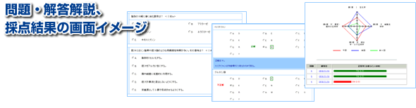 問題・解答解説・採点結果の画面イメージ